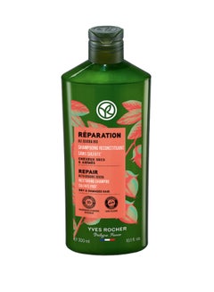 Buy Repair Restoring Shampoo Sulfate Free Bottle 300 ml in UAE