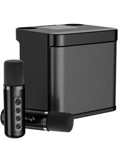 اشتري YS 203 Wireless Bluetooth Karaoke Speaker with Dual Microphones and Stereo Bass – Black في الامارات