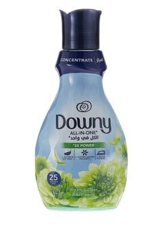 Buy Downy Concentrate Fabric Softener Dream Garden 1L in UAE