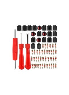 Buy set of valve core,valve stem caps,valve removal tools in UAE