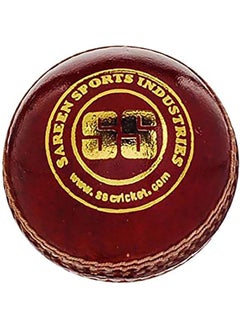 Buy Swinger Cricket Ball in UAE