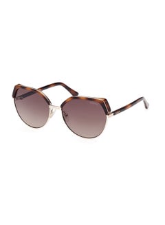 Buy Sunglasses For Women GU787253F58 in UAE