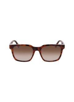 Buy FULL RIM BIO INJ-G820 MODIFIED RECTANGLE LACOSTE SUNS L6028S  5419 (214) HAVANA in UAE