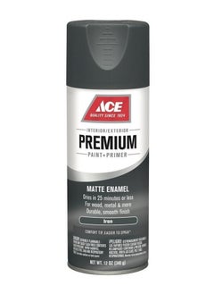 Buy Premium Paint + Primer Matte Enamel Spray Paint (340g Iron) in Saudi Arabia