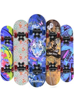 Buy Skateboards for Beginners 31 Inch Complete Skateboard for Kids Teens Adults Ages 5-16, Complete Cruiser Skateboard for Youth in UAE