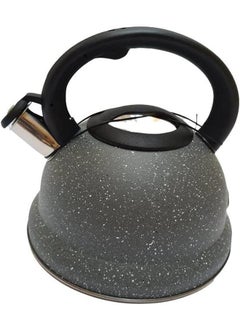 Buy 3L Granite Stainless Steel Whistle Teapot - Grey in Egypt