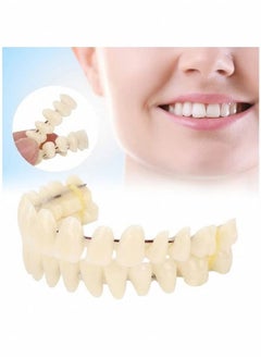 اشتري Simulated Dentures, Resin Dentures, Denture Teaching, Double Row Dentures Suitable For Dental Equipment  Accessories For Patients With Oral Defects, Denture Models, 1 Set Of Upper And Lower Teeth في السعودية