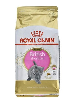 Buy British Shorthair KITTEN 2 kg in Saudi Arabia