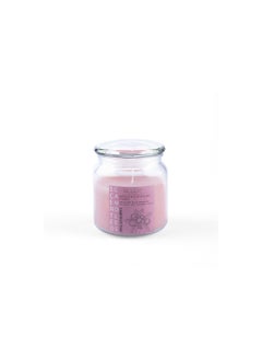 اشتري Indulgence Jar Candle 280gm Mulled Berries في الامارات