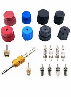 Buy Air Conditioning Valve Core Kit, Car and Home AC R12 R134a Teflon Seal Refrigeration Schrader Valve Core with Valve Stem Core Tool Air Conditioning AC System Charging Port Seal Caps Kit in UAE