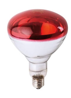 Buy RACO Incandescent BR125 Reflector 230-250V Infrared Heat Lamp Bulb Light Bulb E27 Made in Korea 250W in UAE