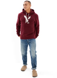 اشتري AE Super Soft Fleece Graphic Hoodie في الامارات