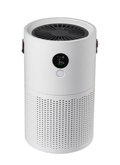 اشتري Home Intelligent Nnegative Ion Air Purifier, Silent Air Cleaner, Portable Small Air Purifier, Negative Ion Purification, Effective Air Purification في الامارات