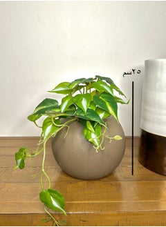 Buy Artificial Hanging Plant for Home Décor in Brown Pot in a Circular Shape in Saudi Arabia