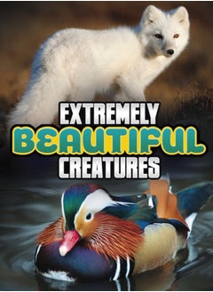 Buy Extremely Beautiful Creatures in UAE