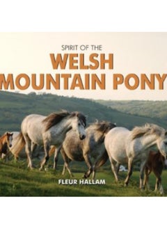 اشتري Spirit of the Welsh Mountain Pony في الامارات