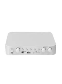 Buy Hikvision Analog Amplifier 60Watts Bluetooth, USB flash drive, microphone, and RCA, with flexible and convenient operation, Support two-channel audio mixing output, White in UAE
