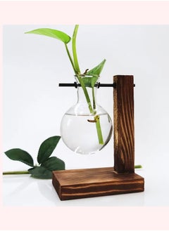 اشتري Vintage Hydroponic Terrarium Plant Vases: Elegant Glass Flower Pot with Wooden Frame for Tabletop Plants, Home Bonsai Decor (B - 1 Bulb Vase) في الامارات