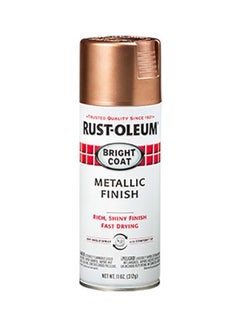 Buy Rust-Oleum Stops Rust Bright Coat Spray Paint Rose Gold in UAE