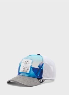 Buy Chill Owlt Curved Peak Caps in UAE