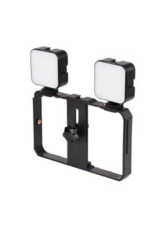 Buy Andoer Mini LED Video Light 5W Photography Fill-in Lamp 6500K Dimmable, 2pcs + Handheld Smartphone Video Bracket Phone Stabilizer Cage with Phone Holder 3 Cold Shoe Mounts in Saudi Arabia