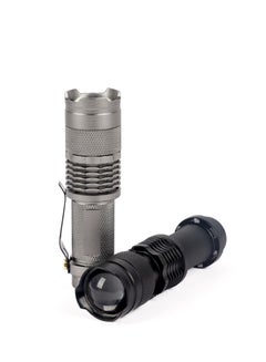 Buy 2pc Small LED flashlight with clip, black and silver in Saudi Arabia