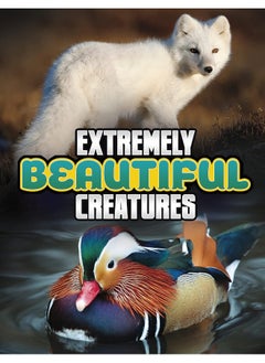 Buy Extremely Beautiful Creatures in UAE