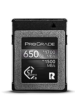 Buy Grand 650GB CF express Type B Memory Card (Cobalt) in Saudi Arabia