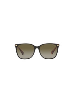 اشتري Full Rim Square Sunglasses 5293-56-6037-8E في مصر