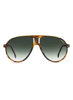 اشتري Aviator / Navigator Sunglasses CHAMPION65/N  RED HAVNA 62 في الامارات