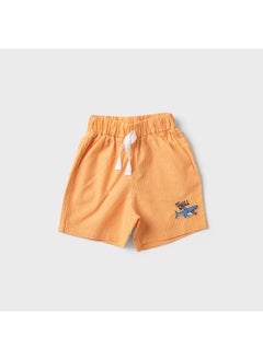 Buy Short Baby Boy Orange in Egypt