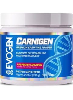 Buy Carnigen L-Carnitine Fat Burner Complex Raspberry Lemonade 50 Servings 79.1g in UAE