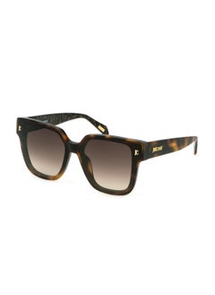 Buy Women's Square Shape  Acetate Sunglasses SJC089 650752 - Lens Size: 65 Mm - Shiny Dark Havana in UAE