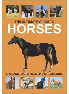 Buy The Ultimate Guide to Horses in UAE