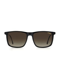 Buy Unisex Pilot Full Rim Sunglasses - 231/S PJP9O 55 - Lens Size: 55 Mm in UAE