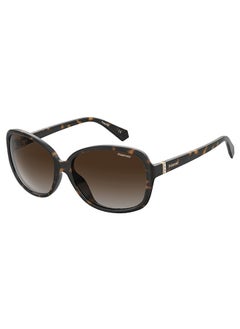 Buy Women's Round Sunglasses PLD 4098/S in Saudi Arabia