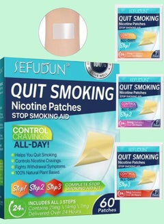 Buy 60 Pcs Quit Smoking Patches Natural Plant Stop Smoking Aid Kit Helping Quit Patch Stop Smoking Aid Steps 1 Through 3 to Quit Smoking Help Craving Control and Clear Lung Invisible Nicotine Patches in UAE
