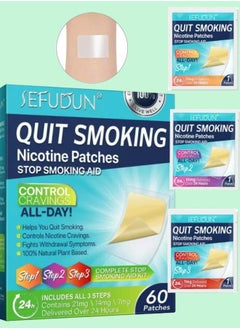 Buy 60 Pcs Quit Smoking Patches Natural Plant Stop Smoking Aid Kit Helping Quit Patch Stop Smoking Aid Steps 1 Through 3 to Quit Smoking Help Craving Control and Clear Lung Invisible Nicotine Patches in UAE