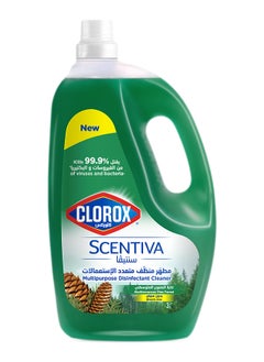 Buy Pine Scented  Multiporpuse Floor Cleaner Green in UAE