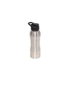 Buy Silver insulated water bottle, 750 milliliters in Saudi Arabia