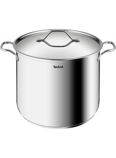 Buy Intuition Stainless Steel Stewpot With Lid 26 Cm in UAE