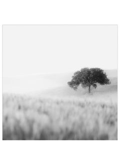 Buy Picture Lonely Tree 56X56 Cm in Saudi Arabia