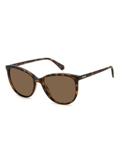 اشتري Women's Polarized Rectangular Shape  Sunglasses Pld 4138/S Gold 48 - Lens Size: 47.7 Mm - Hvn في السعودية