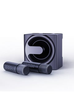 اشتري YS-207 مكبر صوت بلوتوث محمول مع 2 ميكروفونات جهاز مضخم صوت لاسلكي قابل للشحن للغناء في الامارات