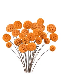 Buy 24 PCS Dried Craspedia Billy Balls Flowers Bouquet 18" Natural Dried Flowers Perfect For Vase Arrangements Wedding Centerpieces Party & DIY Home Decor in UAE