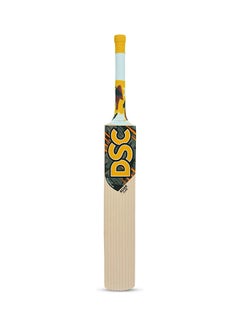 اشتري Roar Claw Kashmir Willow Cricket Bat في الامارات