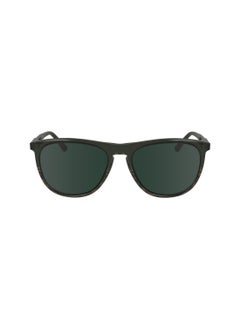 Buy FULL RIM ACETATE AVIATOR CALVIN KLEIN SUN CK24508S  5518 (303) GREEN/STRIPED BROWN in UAE