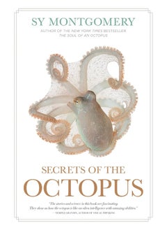 Buy Secrets of the Octopus in UAE