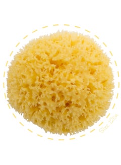 اشتري Honeycomb Sea Sponge 100% Natural Size-18 Piece Of One في الامارات