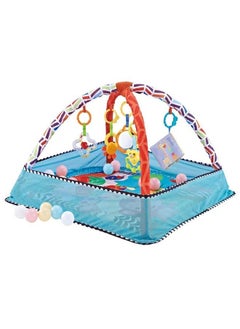 Buy Foldable Baby Play Mat Gym Activity And Balls in UAE